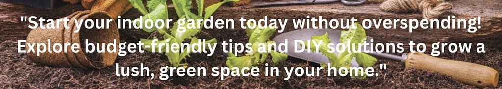 Indoor Gardening on a Budget: Affordable Ways to Start 2