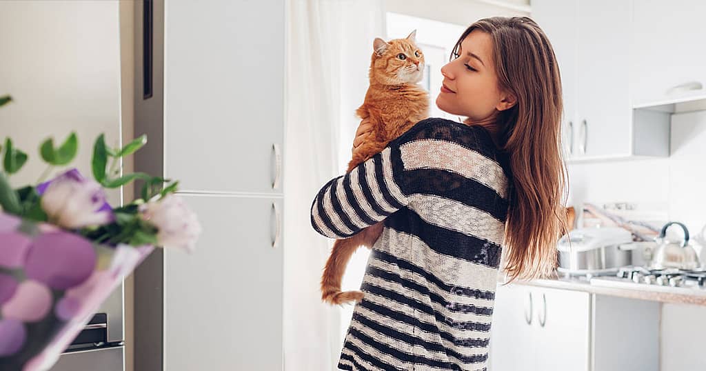 Choosing the Right Cat Breed for Your Lifestyle 2