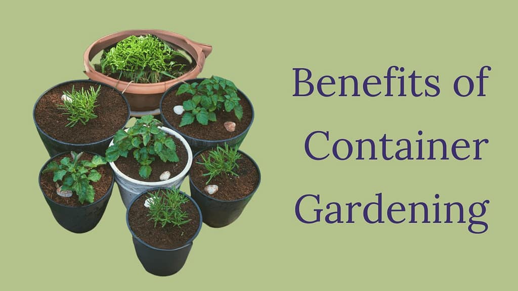 Benefits of Container Gardens