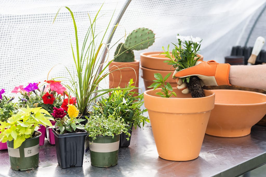 Small Space for Container Gardening Ideas