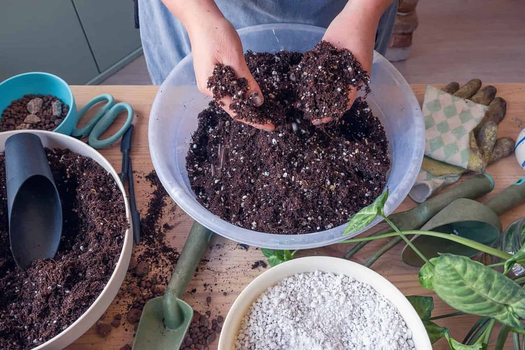 Essential Tools for an Indoor Garden 2