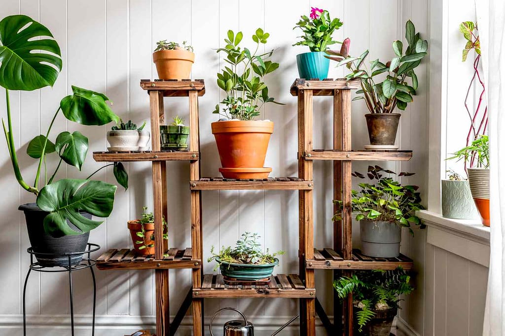 Lighting solutions for Indoor gardening and successful cultivation 2