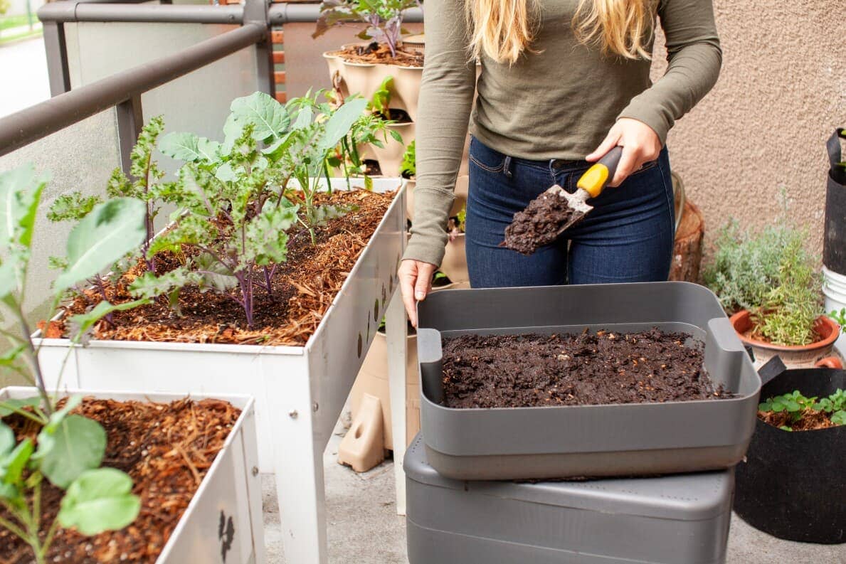 DIY Indoor Gardening Projects