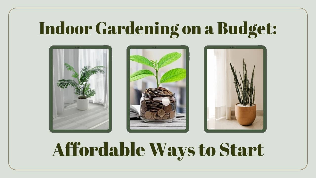 Indoor Gardening on a Budget: Affordable Ways to Start 1 Indoor Gardening on a Budget: Affordable Ways to Start