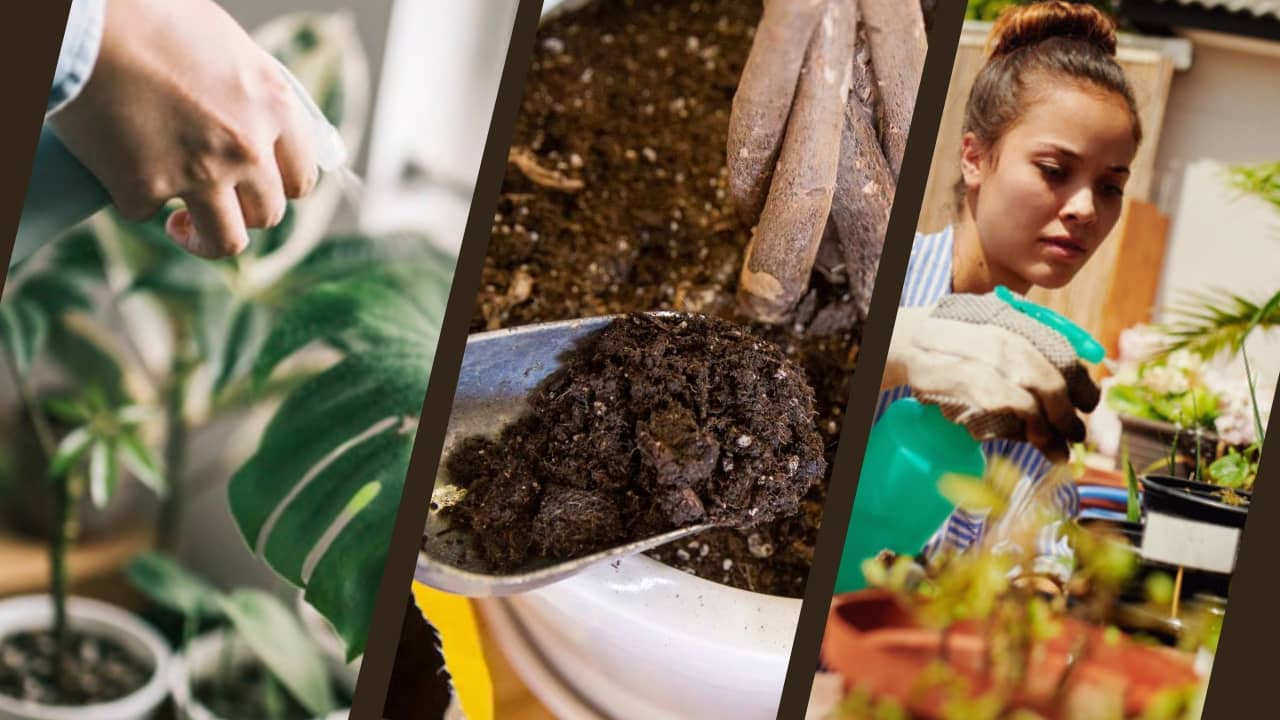 Essential Tools for an Indoor Garden 1 Tools for an Indoor Gardening