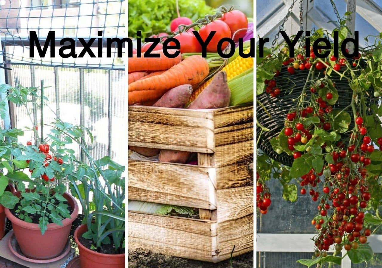 Vegetable Gardening for Small Spaces: Maximize Your Yield 1 Vegetable Gardening for Small Spaces: Maximize Your Yield