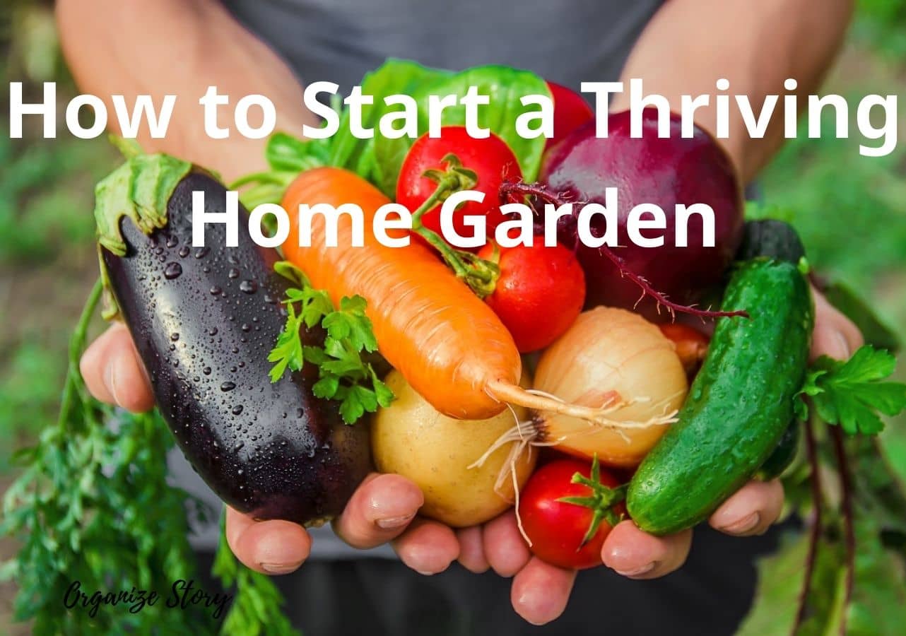 Vegetable Gardening: How to Start a Thriving Home Garden 1 Vegetable Gardening How to Start a Thriving Home Garden