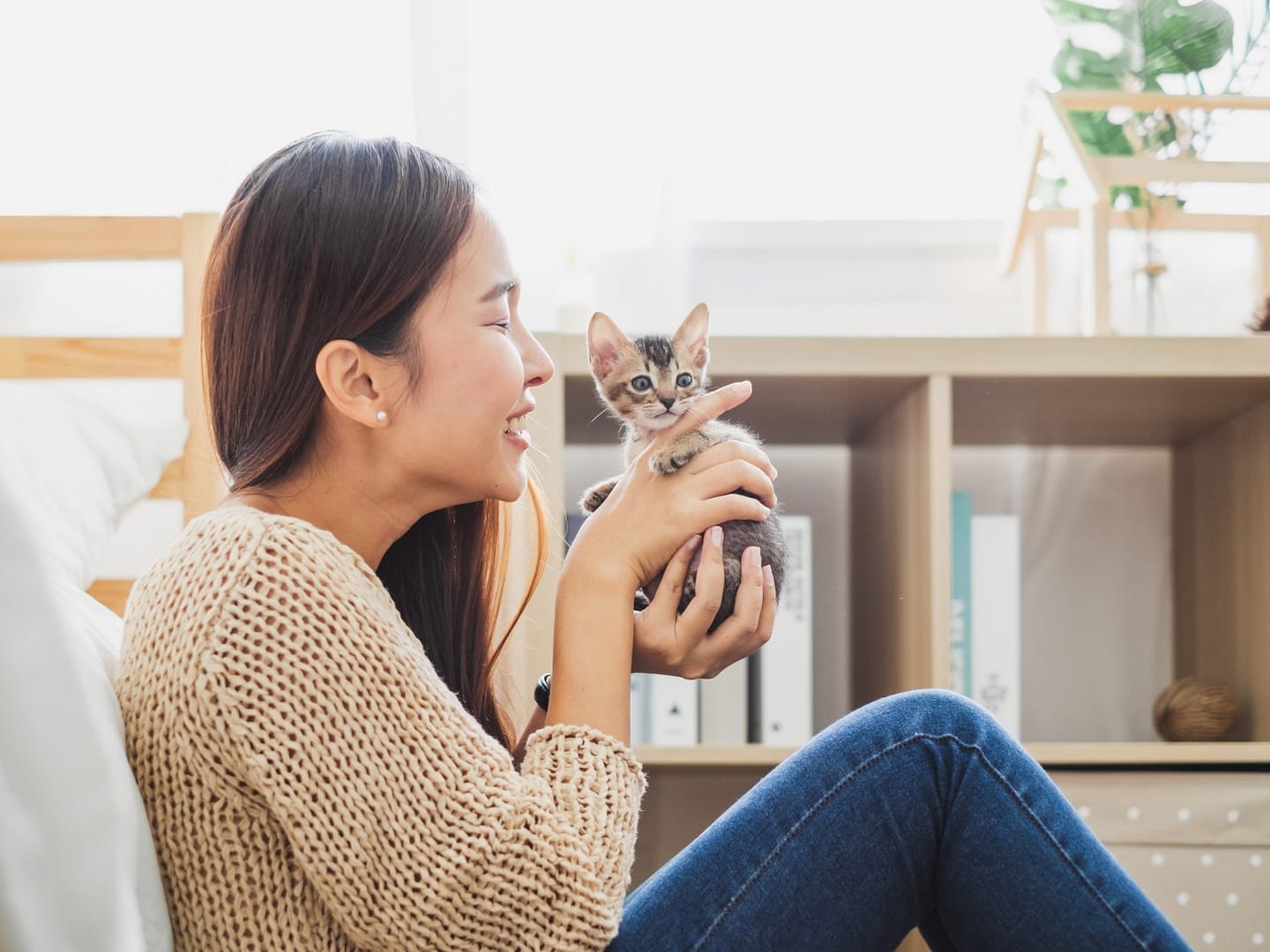 How to Create the Perfect Home for Your Kitten 1 Perfect Home for Your Kitten
