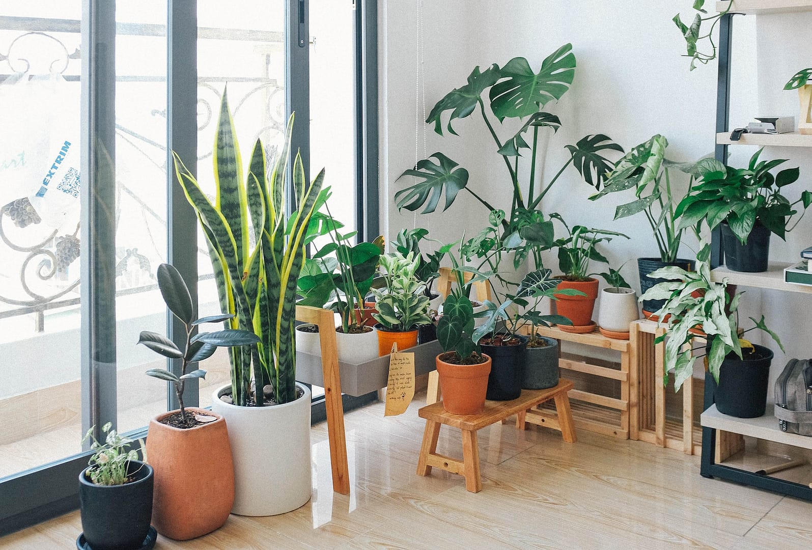 Maximize Your Balcony Space with Container Gardening