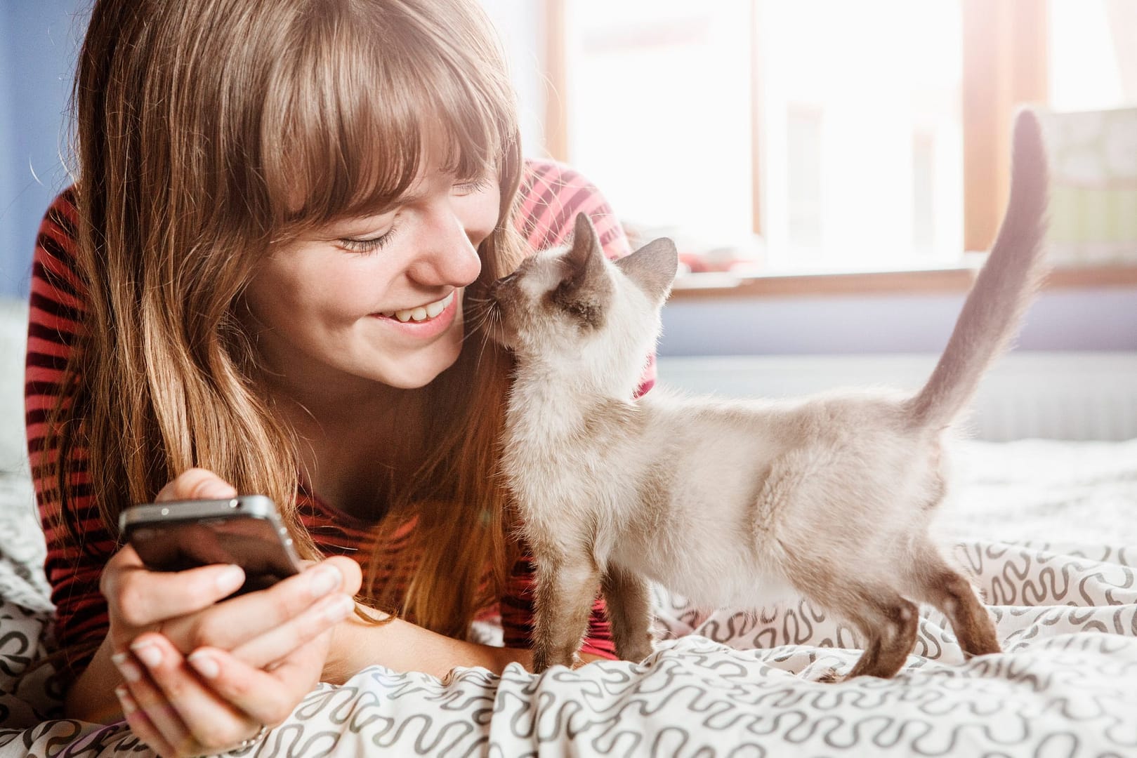 Essential Kitten Care What Every New Pet Parent Should Know