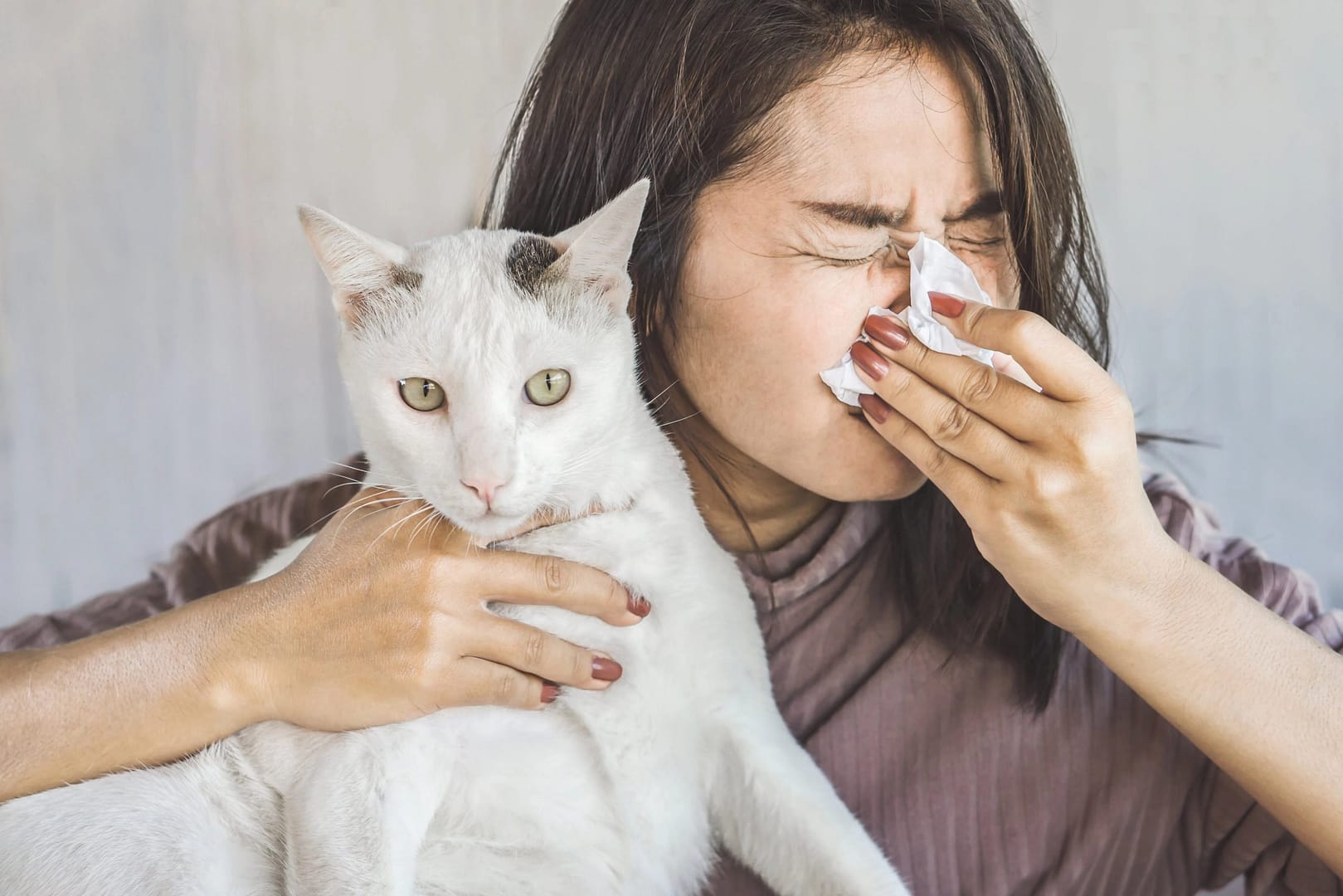 Hypoallergenic Cat Breeds for Allergy Sufferers