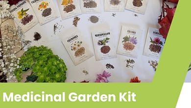 Medicinal Garden Kit