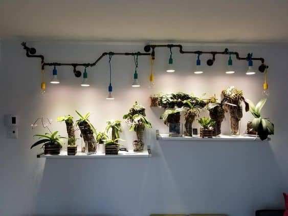 10 Tips for Starting Your Indoor Garden 2